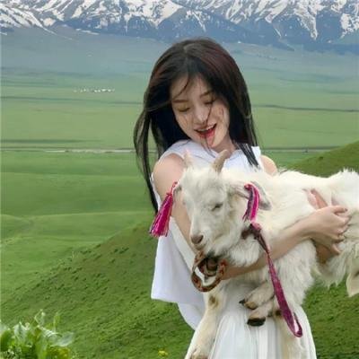 阿尔法：狼伴归途国语